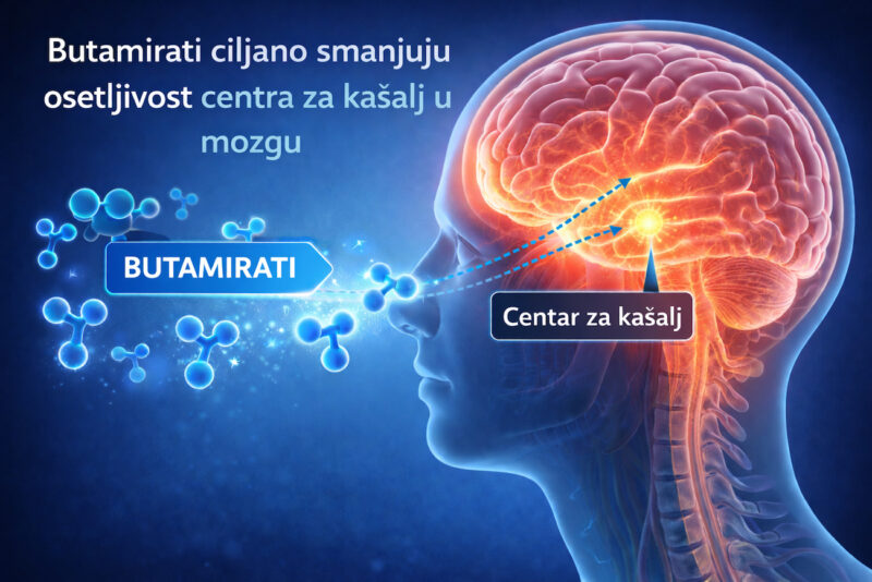 Ilustracija koja prikazuje kako butamirati smanjuju osetljivost centra za kašalj u mozgu i ublažavaju suvi kašalj